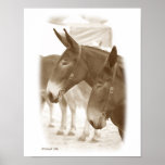 Two Points of View Posters