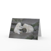 Two Polar bear cubs Greeting Card