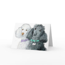 Two Poodles Greeting Cards