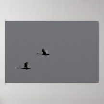 Two Posters