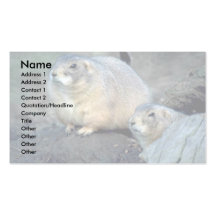 Two Prairie Dogs Business Card