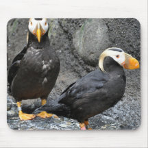Two Puffins Mousepads