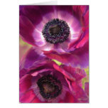 two purple anenomes greeting cards