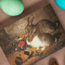 Two Rabbits and a Guinea Pig