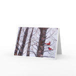 two red birds in winter, Copyright 2005 Greeting Card