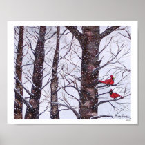 Two Red Birds In Winter posters