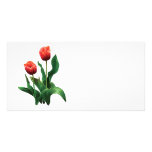 Two Red Tulips Customized Photo Card
