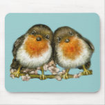 two robins mouse mat
