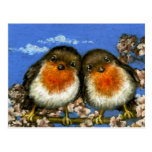 Two robins postcards by Tanya Bond