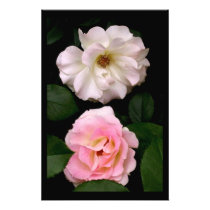 'Two Roses' Photographic Print