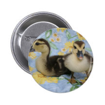 two rouen ducklings against flowered background buttons