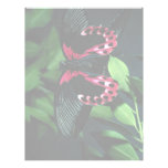 Two scarlet mormon butterflies breeding custom letterhead
