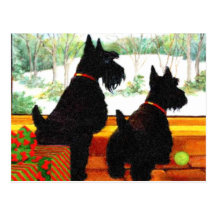 Two Scotty Dogs at Christmas Post Cards