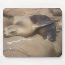 Two seals cuddle mouse mats