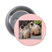 Two Siamese Pin
