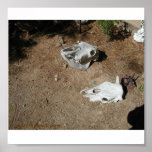 TWO SKULLS POSTERS
