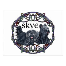 Two Skye Terriers in Celtic Circle Post Card