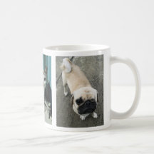 Two Soi Dogs and a Cat ...Thailand Coffee Mug