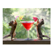 Two Squirrels Drinking a Cocktail Post Card