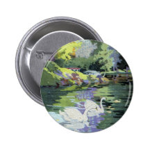 Two Swans in Central Park Lake Pinback Button