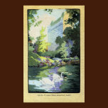 Two Swans in Central Park Lake posters