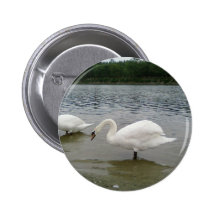 Two Swans Lake Buttons