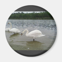 Two Swans Lake Fridge Magnet