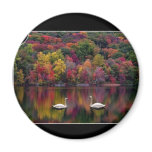 Two Swans magnets