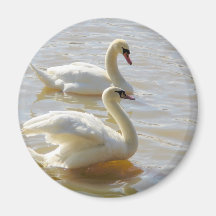 Two Swans Magnets