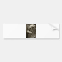 two toed sloth bumper sticker