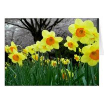 Two Tone Greeting Card