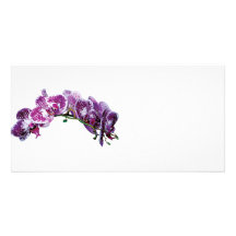 Two-Toned Magenta Orchid Photo Card Template