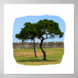 Two trees and castle walls poster