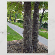 Two trees growing closely together flyers