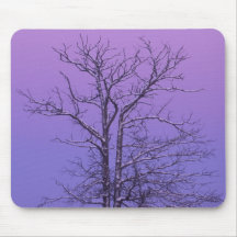 Two Trunked Tree at Sunrise; Chippewa County, Mousepad