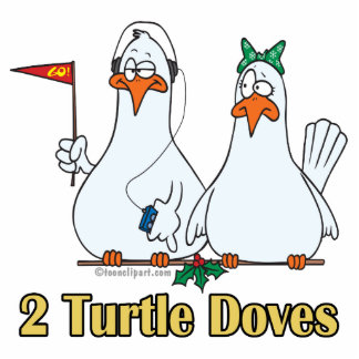 two_turtle_doves_second_2nd_day_of_christmas_photosculpture-r77ce05b89ef6449f9b665535f5cd3329_x7sa6_8byvr_324.jpg