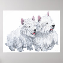Two West Highland White Terriers Posters