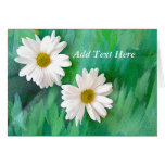 Two White Daisies Card