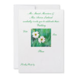 Two White Daisies Invitation