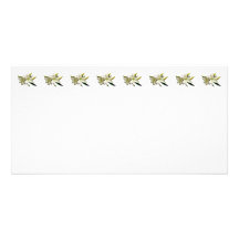 Two White Lilies and Buds Picture Card