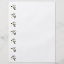 Two White Lilies Custom Flyer