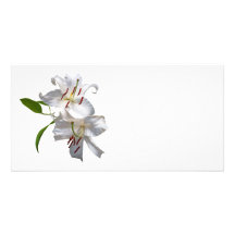 Two White Lilies Personalized Photo Card