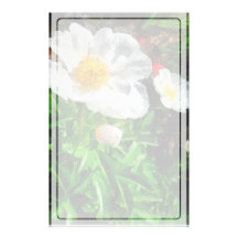Two White Poppies Customized Stationery