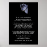 TWO WOLVES CHEROKEE TALE Art Poster