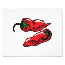 Two Wrinkled Red Peppers  Stems Graphic Photo Art
