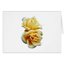 Two Yellow Roses Greeting Card