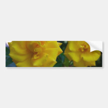 Two Yellow Roses with Leaves - flower photography Bumper Stickers
