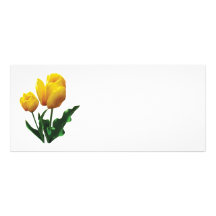 Two Yellow Tulips Custom Rack Card