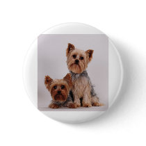 Two Yorkies Button