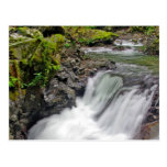 Tye River waterfall Postcard